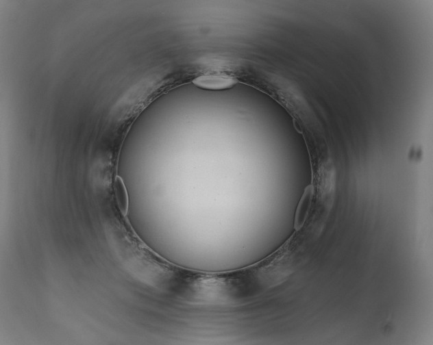 X0000112060413200908041219