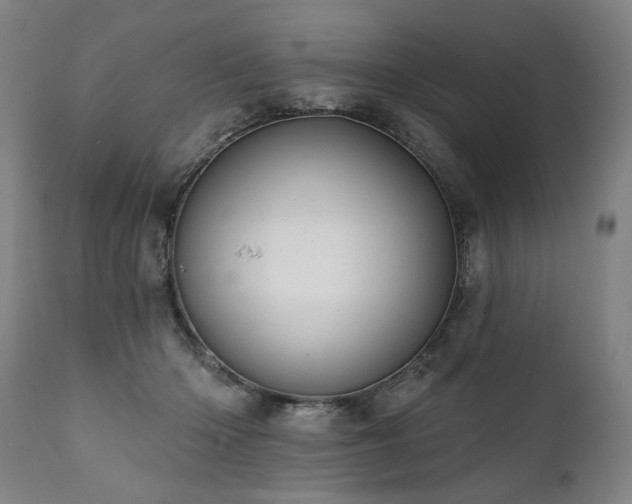 X0000112060414200908041219