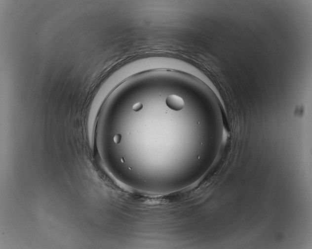 X0000112060415200908041219