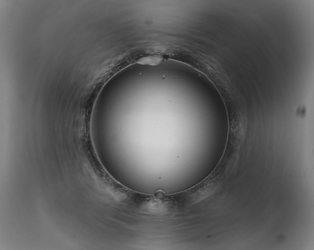 X0000112060416200908041219