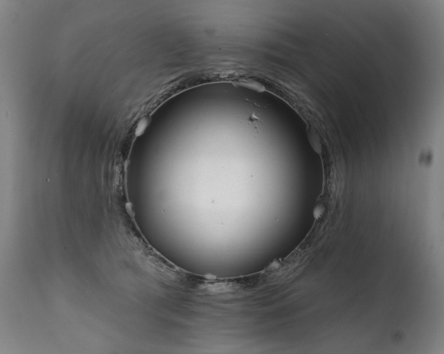 X0000112060417200908041219