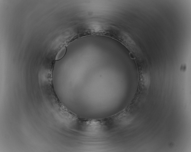 X0000112060419200908041219