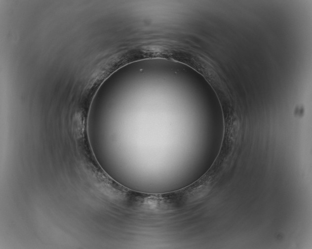 X0000112060420200908041219