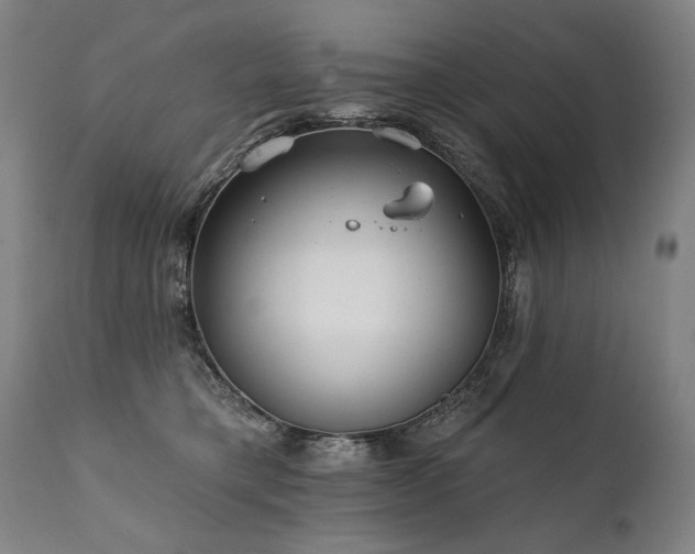 X0000112060421200908041219