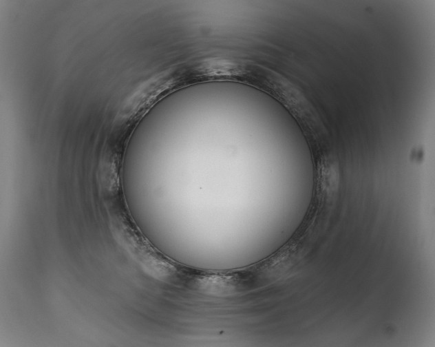 X0000112060422200908041219