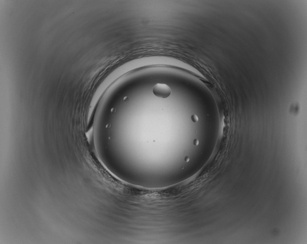 X0000112060423200908041219