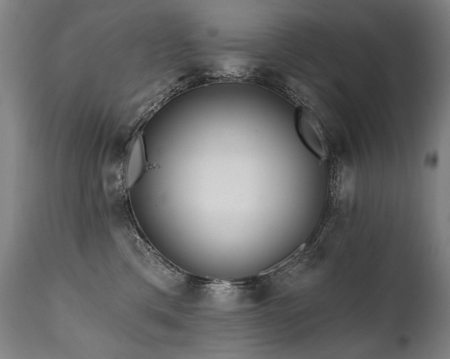 X0000112060425200908041219