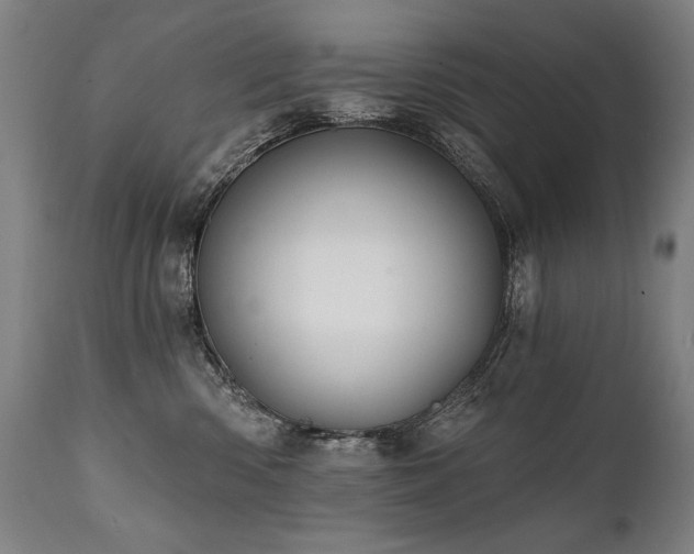 X0000112060426200908041219