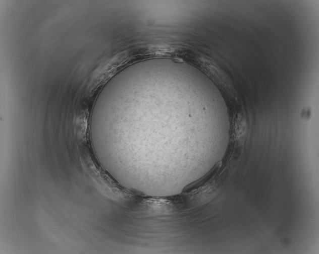 X0000112060427200908041219