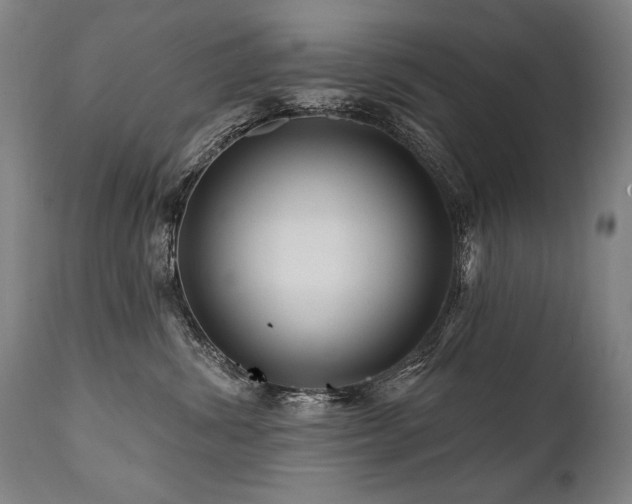 X0000112060428200908041219