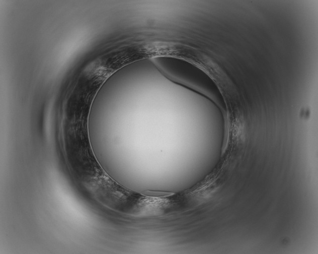 X0000112060429200908041219