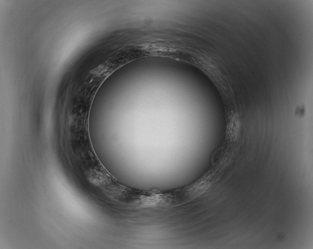 X0000112060430200908041219