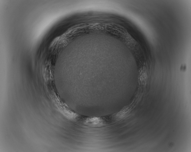 X0000112060431200908041219