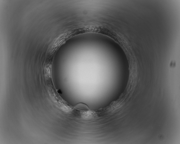 X0000112060432200908041219
