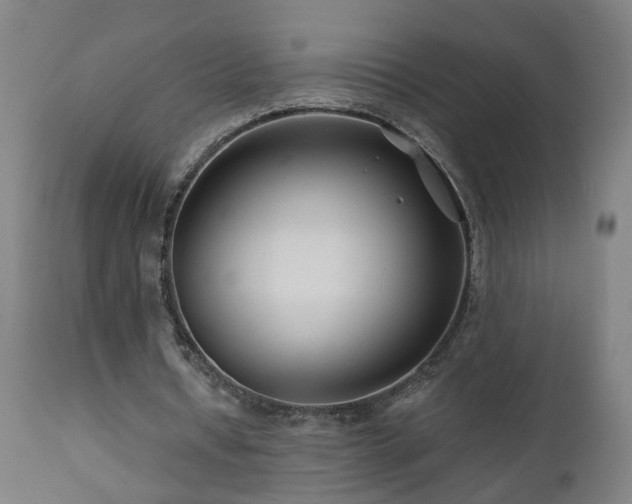 X0000112060434200908041218