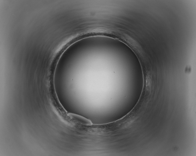 X0000112060436200908041218