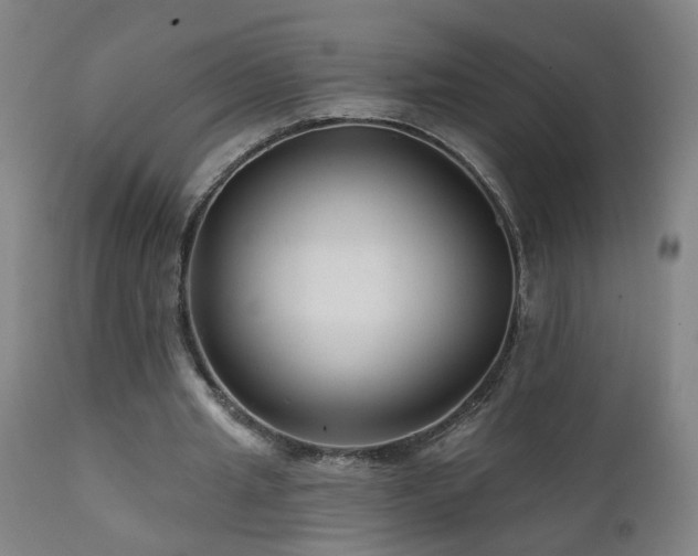 X0000112060437200908041218