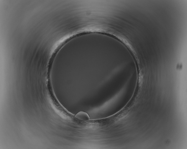 X0000112060438200908041218