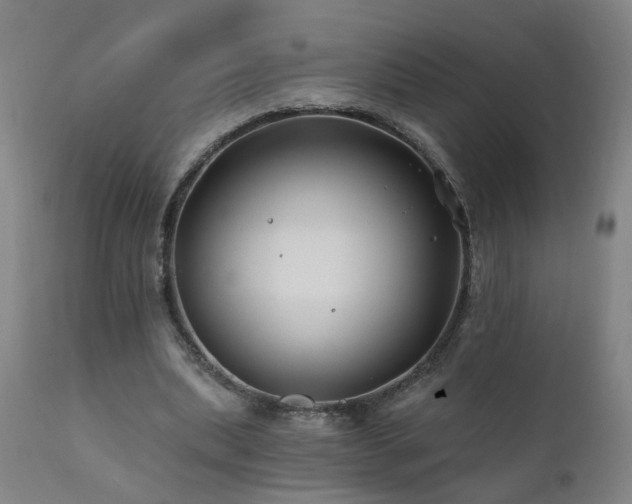 X0000112060439200908041218