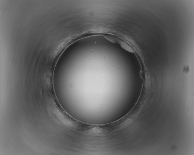 X0000112060441200908041218