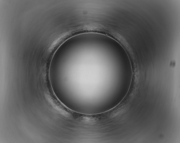 X0000112060442200908041218