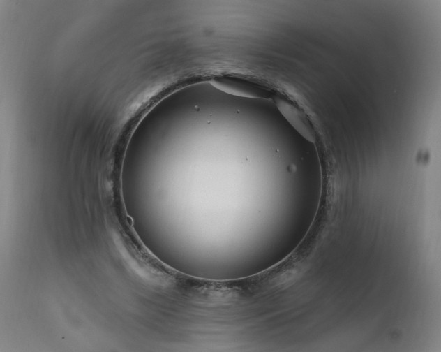 X0000112060443200908041218