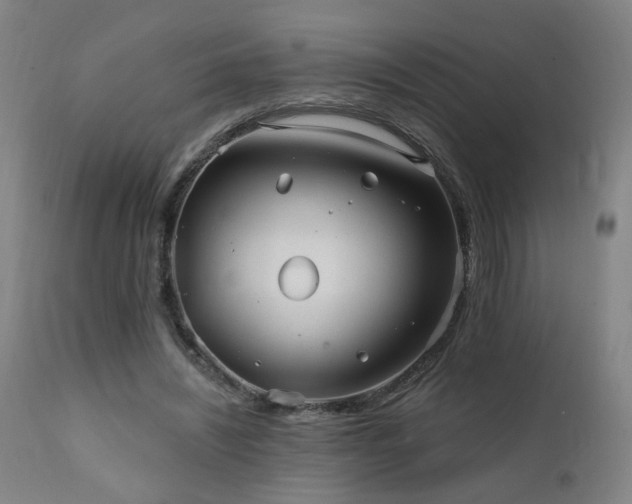 X0000112060444200908041218