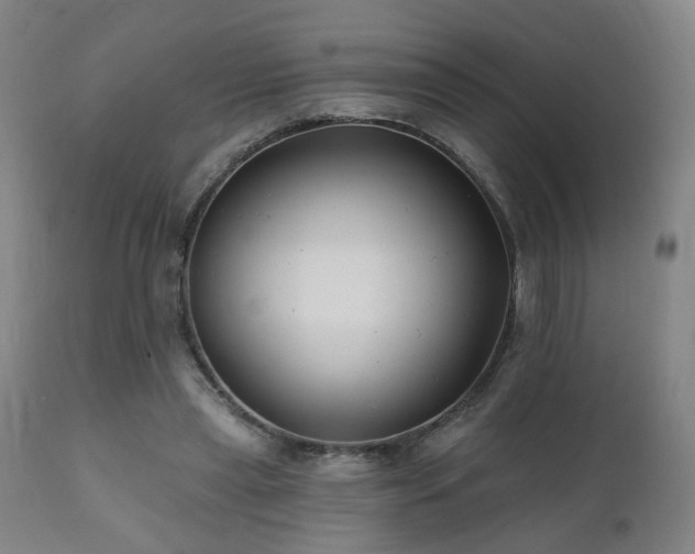 X0000112060445200908041218