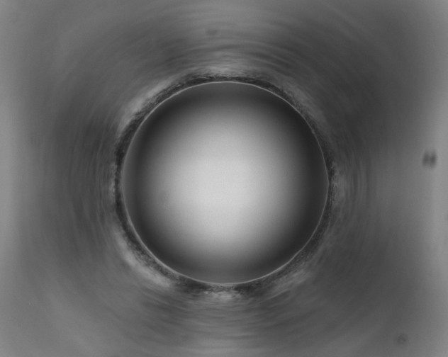 X0000112060446200908041218