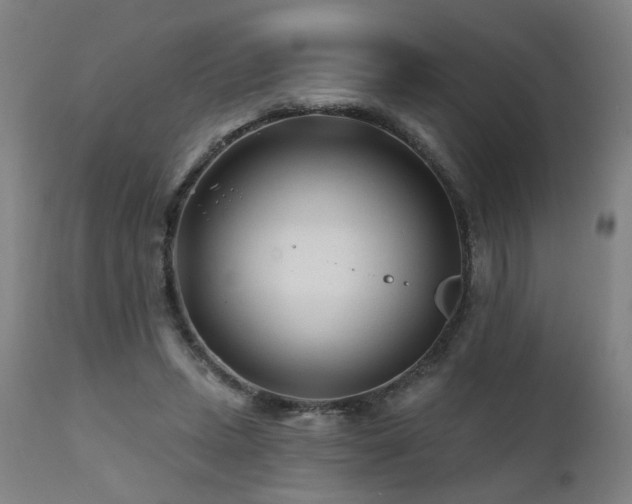 X0000112060447200908041218