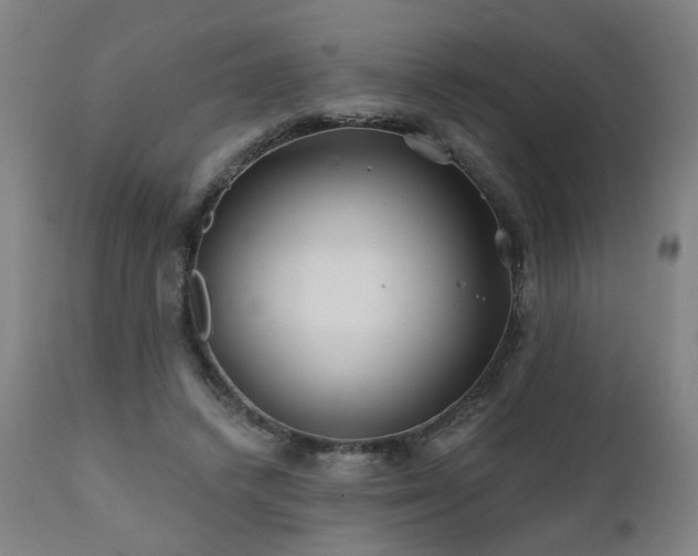 X0000112060448200908041218