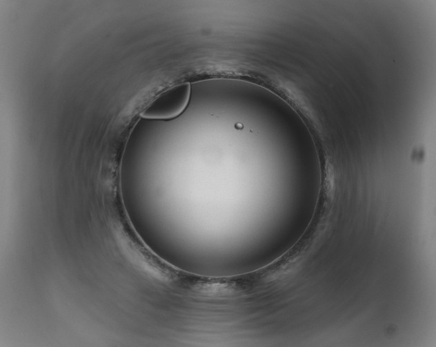 X0000112060449200908041218