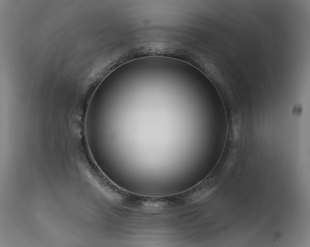 X0000112060450200908041218
