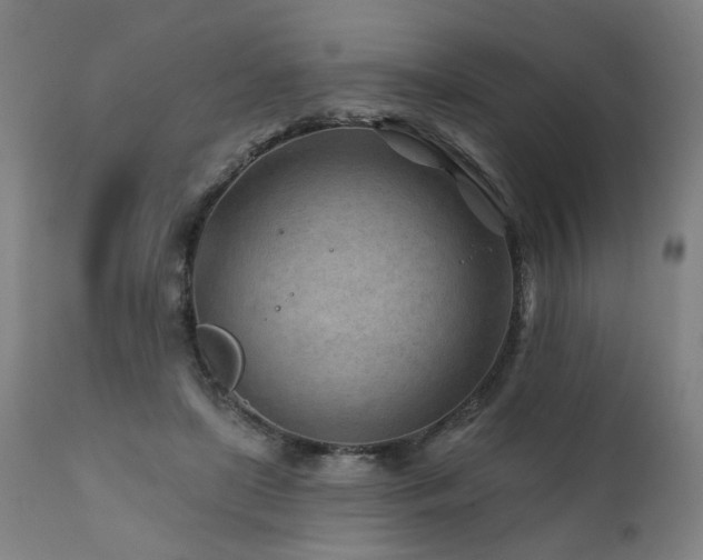 X0000112060451200908041218