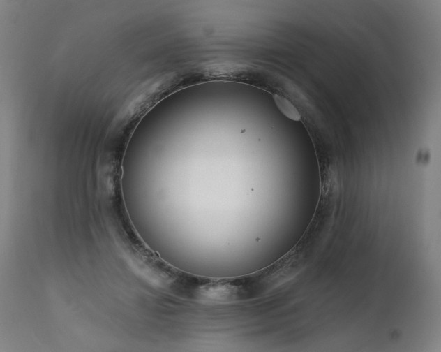 X0000112060452200908041218