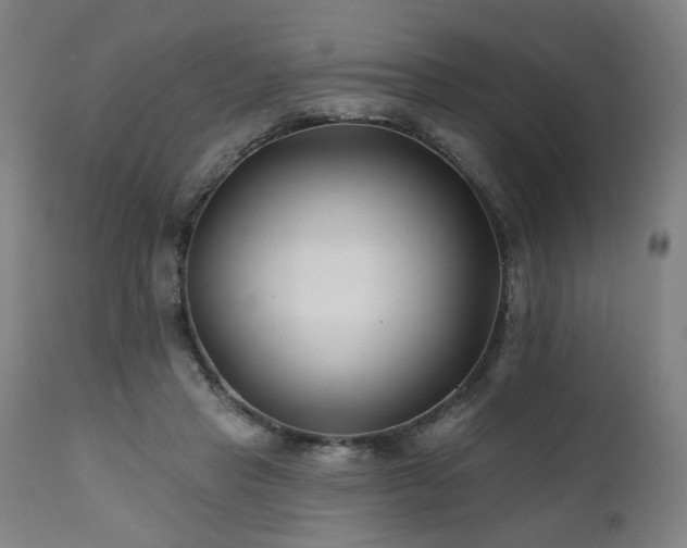 X0000112060453200908041218