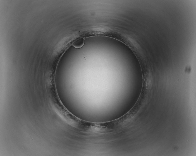 X0000112060455200908041218