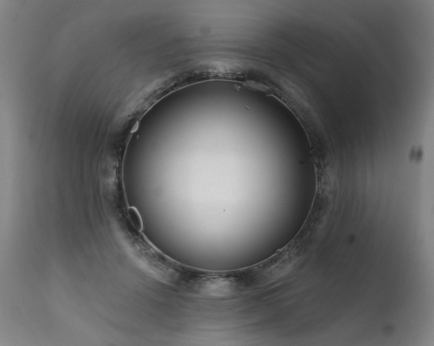 X0000112060456200908041218
