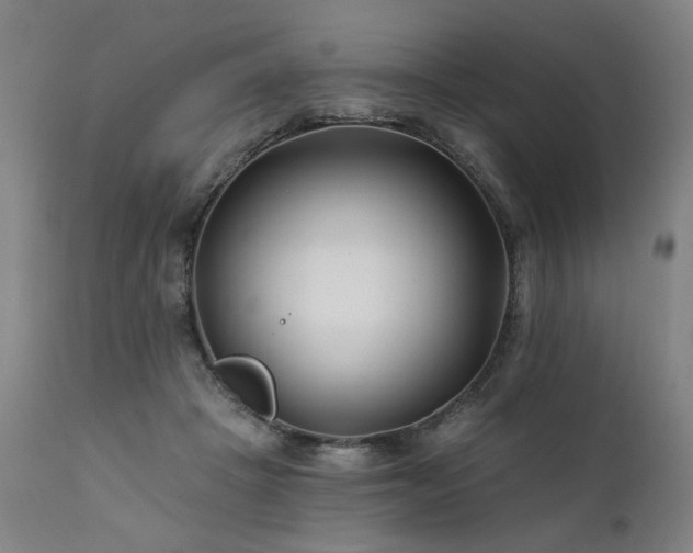 X0000112060457200908041218
