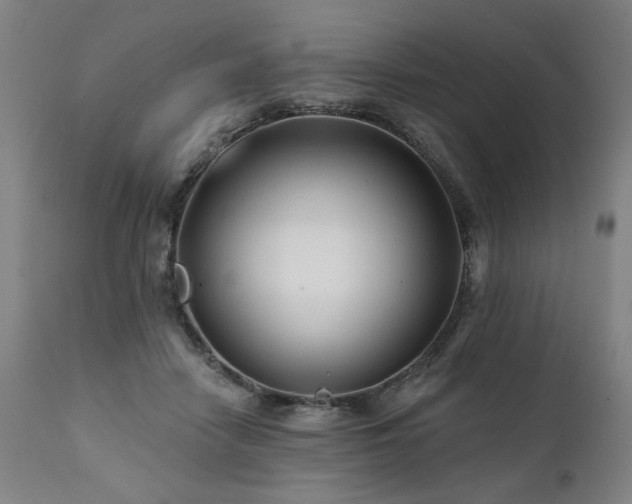 X0000112060458200908041218