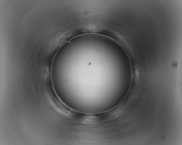 X0000112060459200908041218