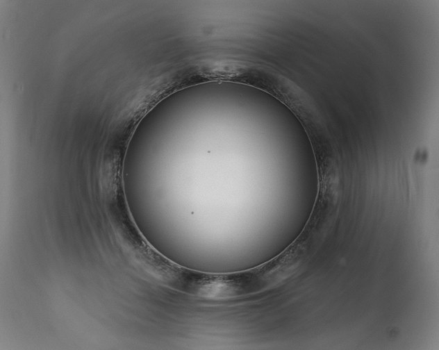 X0000112060460200908041218