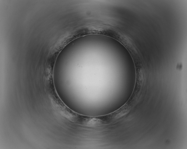 X0000112060463200908041218
