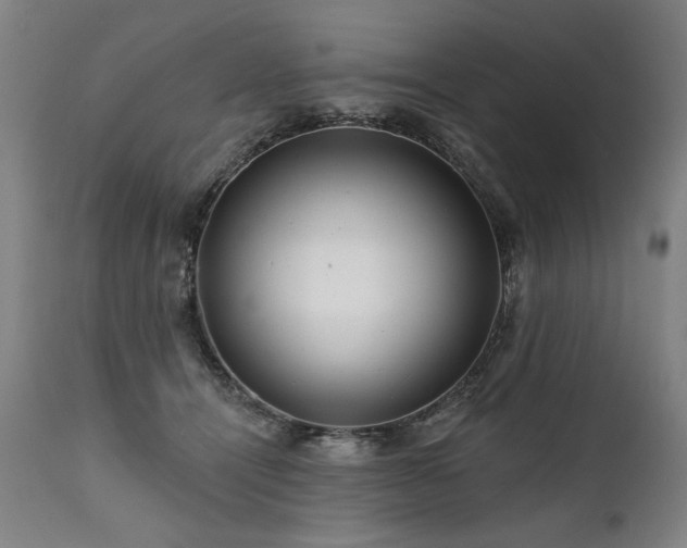 X0000112060464200908041218
