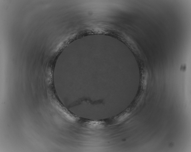 X0000112060465200908041218