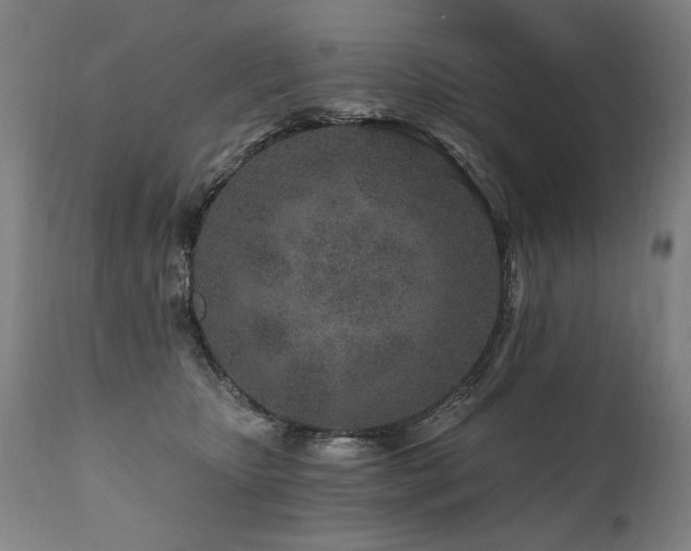 X0000112060467200908041218
