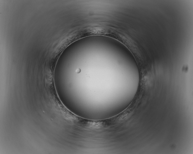 X0000112060469200908041218
