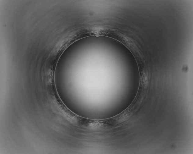 X0000112060470200908041218