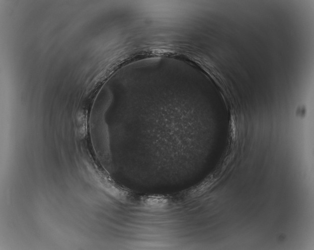 X0000112060471200908041218