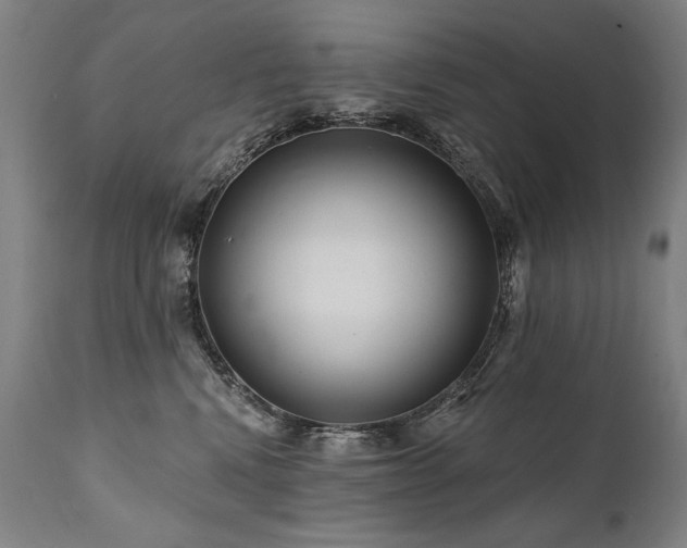 X0000112060472200908041218